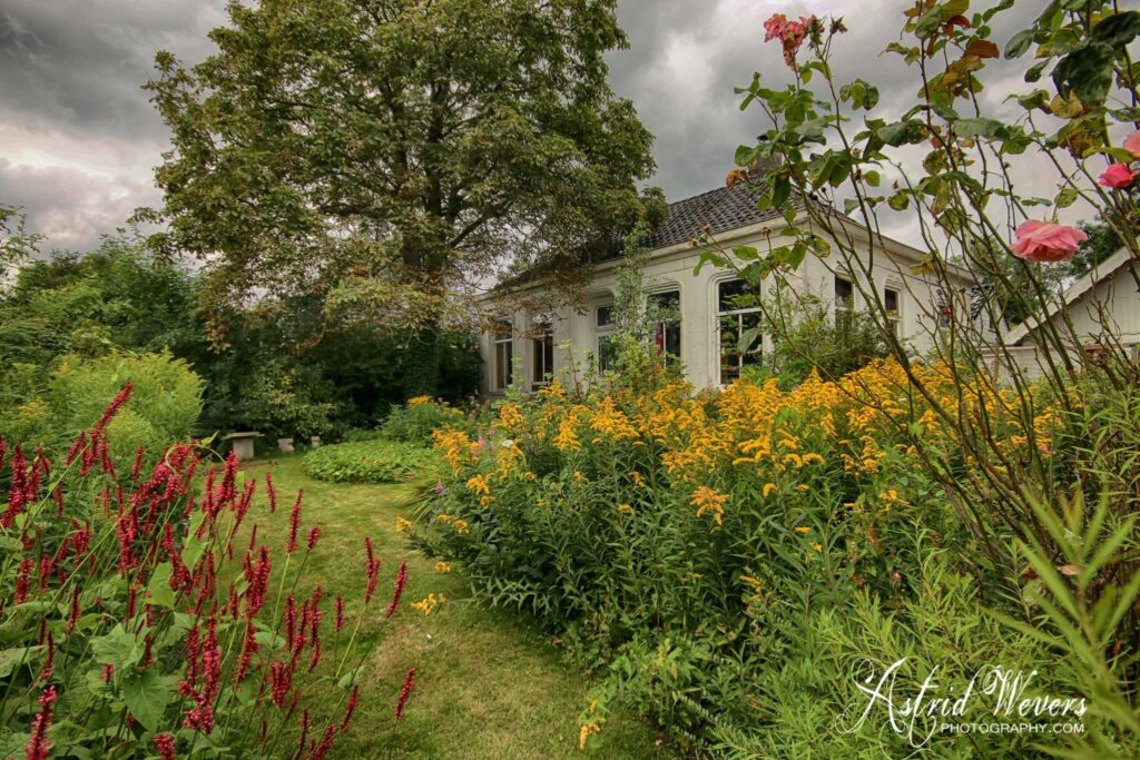 Koningin van PIeterburen Bed & Breakfast en Fotostudio